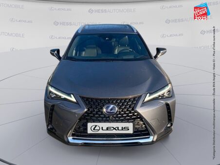 LEXUS UX 300E EXECUTIVE