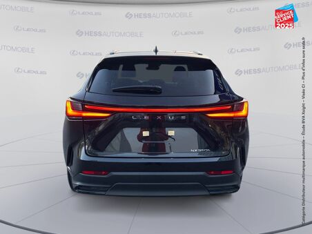 LEXUS NX 350H 2WD LUXE MY25