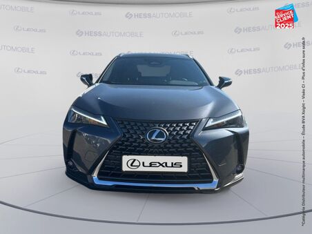 LEXUS UX 300H LUXE 2WD