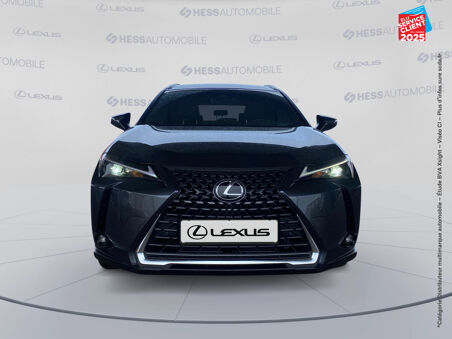 LEXUS UX 300H LUXE 2WD