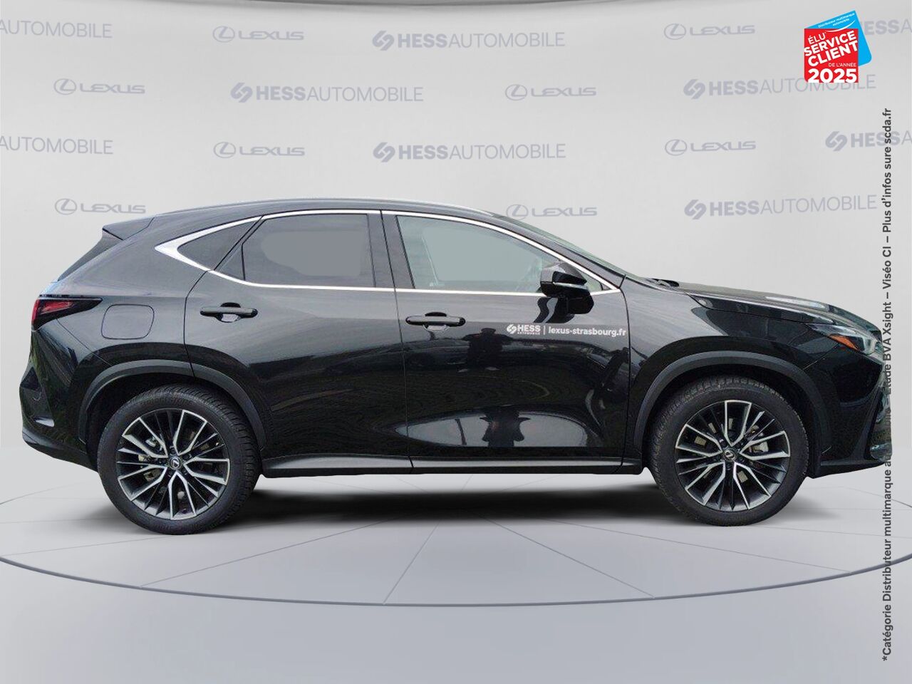 Véhicule d'occasion LEXUS NX 450H+ EXECUTIVE 4WD MY24 TOUVRANT SIEGES CHAUF/VENTIL/CUIR VOLANT CHAUF GPS CAMERA HUD chez BMW Colmar