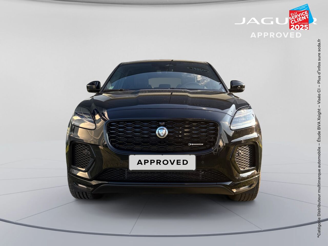 chez Jaguar Nancy