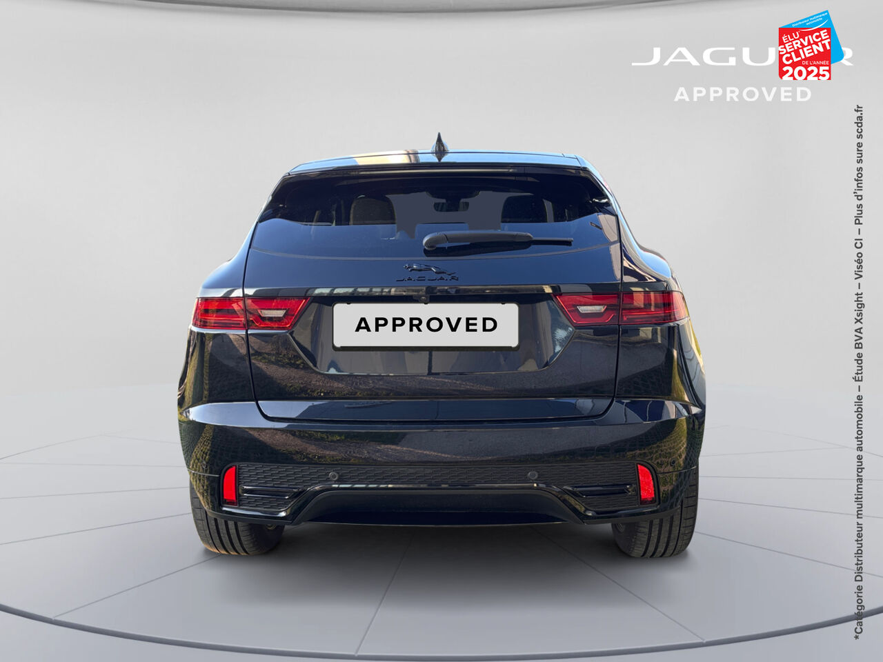 chez Jaguar Nancy