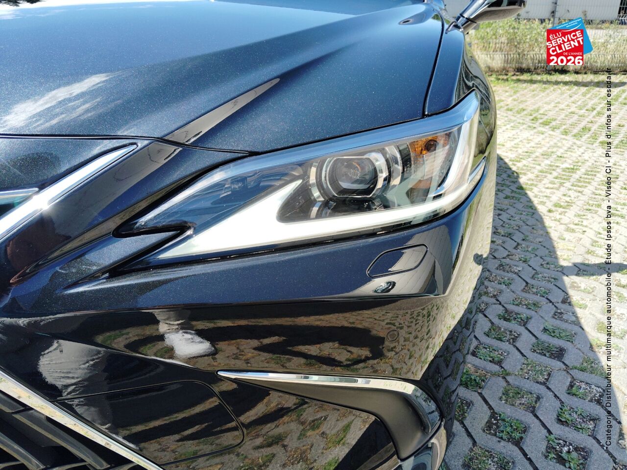chez Lexus Strasbourg