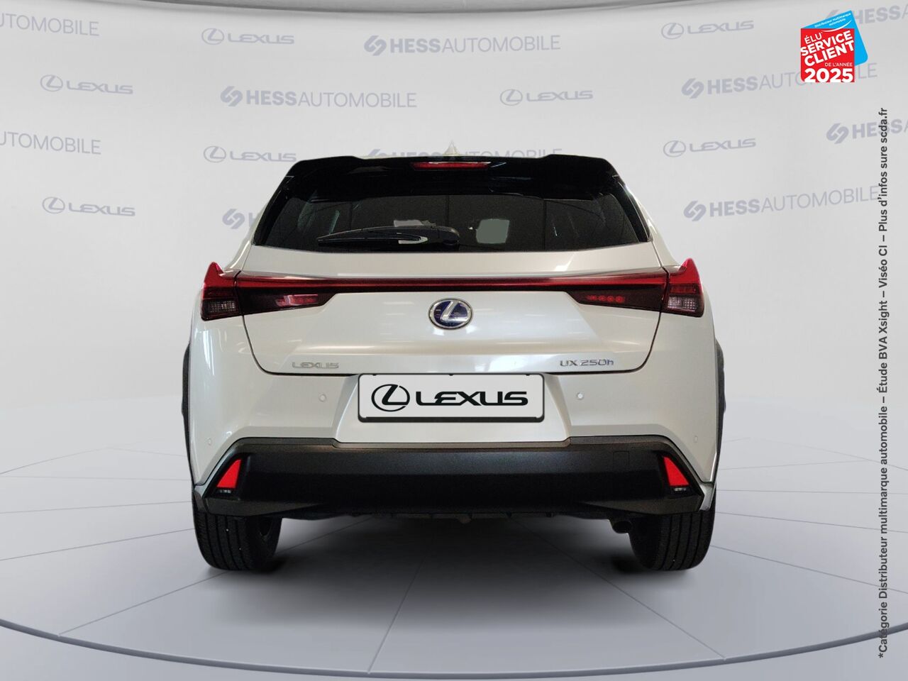Véhicule d'occasion LEXUS UX 250H 2WD LUXE MY20 chez Renault Colmar