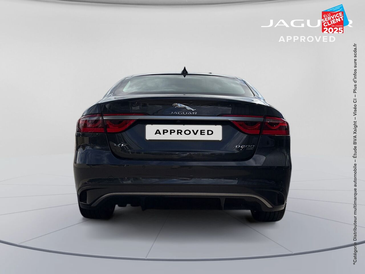 chez Jaguar Nancy