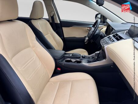 LEXUS NX 300H 4WD LUXE