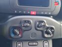 Véhicule d'occasion FIAT PANDA 1.0 70CH BSG SS CITY CROSS ELYSIA EURO6D