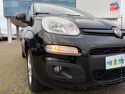 Véhicule d'occasion FIAT PANDA 1.2 8V 69CH SS LOUNGE  EURO6D