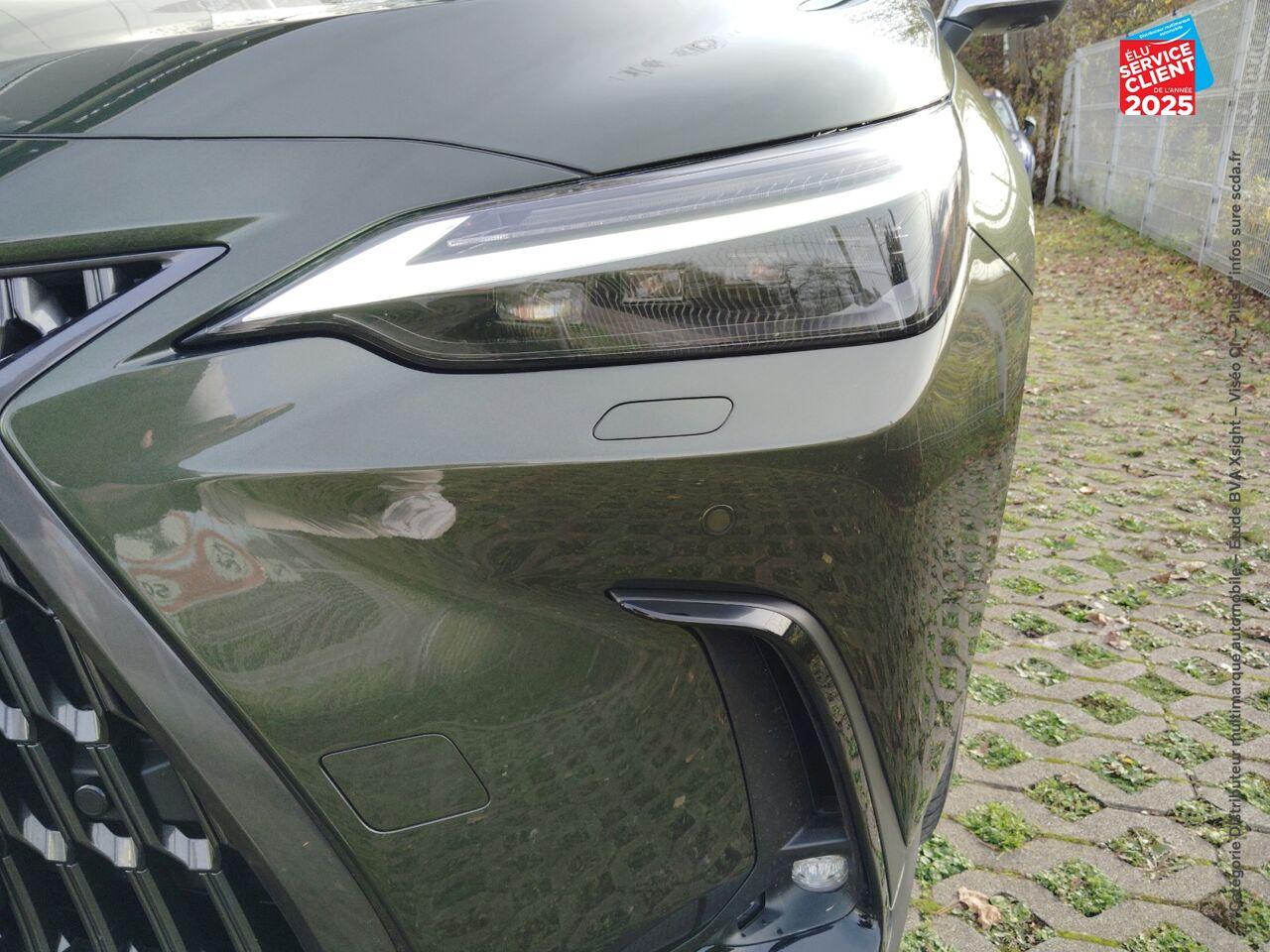 chez Lexus Strasbourg