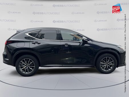 LEXUS NX 450H+ LUXE 4WD MY25