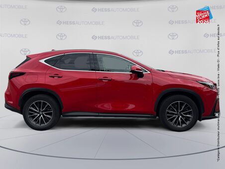 LEXUS NX 450H+ LUXE 4WD MY24