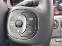 Véhicule d'occasion FIAT PANDA 1.0 70CH BSG SS CITY CROSS ELYSIA EURO6D