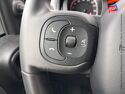 Véhicule d'occasion FIAT PANDA 1.0 70CH BSG SS CITY CROSS ELYSIA EURO6D