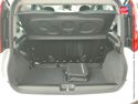 Véhicule d'occasion FIAT PANDA PANDINA 1.0 65CH BSG SS HYBRID ICONE