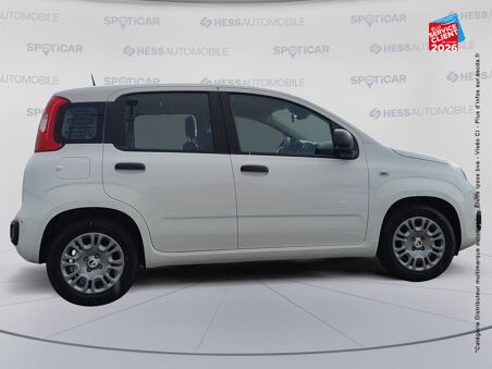 FIAT PANDA PANDINA 1.0 65CH...