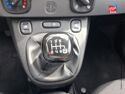 Véhicule d'occasion FIAT PANDA 1.0 70CH BSG SS CITY CROSS ELYSIA EURO6D