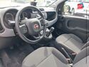 Véhicule d'occasion FIAT PANDA 1.0 70CH BSG SS CITY CROSS ELYSIA EURO6D