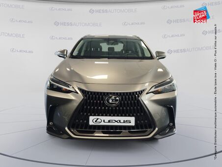 LEXUS NX 350H LUXE 4WD