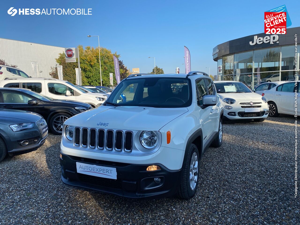 Véhicule d'occasion JEEP RENEGADE 1.6 MULTIJET S/S 120CH LIMITED chez Fiat Colmar