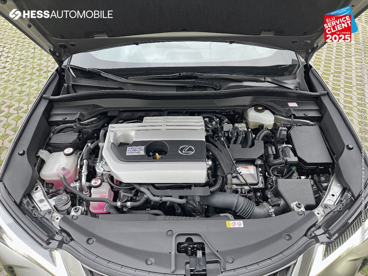 Véhicule d'occasion LEXUS UX 250H 2WD PACK chez Lexus Strasbourg