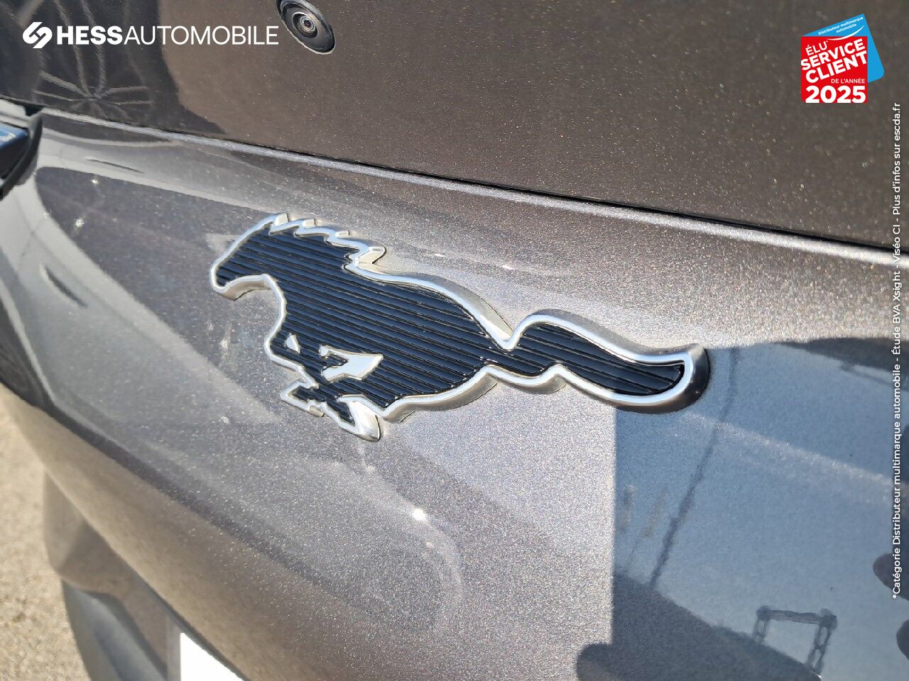 Véhicule d'occasion FORD MUSTANG MACH-E 269CH STANDARD RANGE 76KWH MACH-E PROPULSION chez Renault Saint-Louis